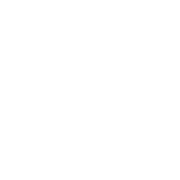 logo ai